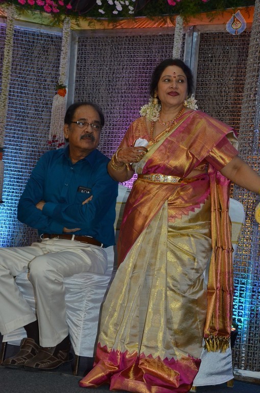 Jayachitra Son Amresh Wedding Reception - 36 / 102 photos