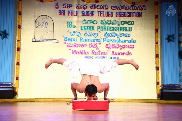 Sri Kala Sudha Awards 2016 Photos - 3 / 132 photos