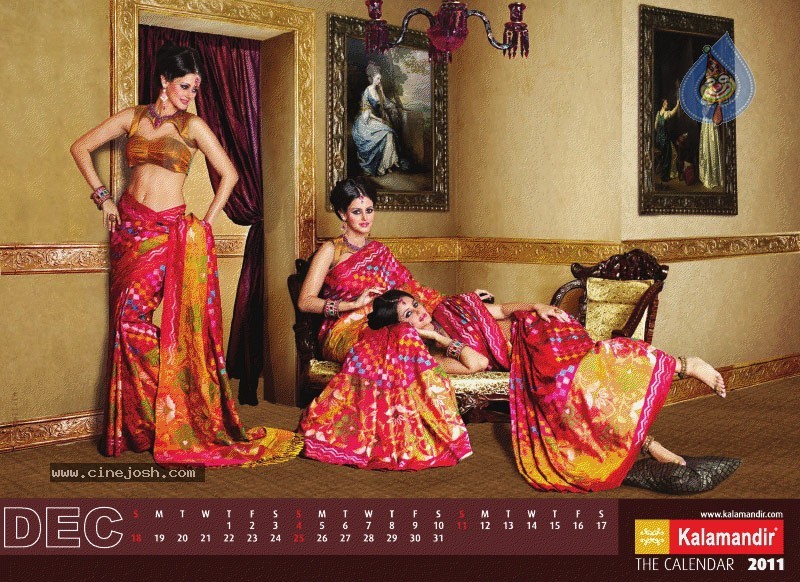 Kalamandir The Calendar 2011 - 7 / 13 photos