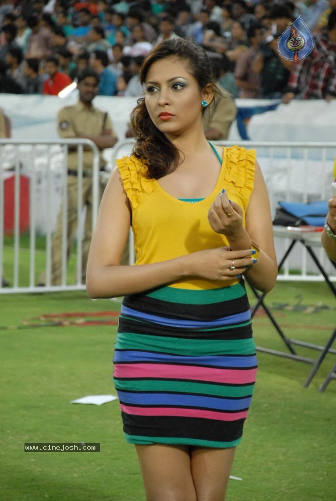 Karnataka Bulldozers vs Chennai Rhinos Final Match - 35 / 128 photos