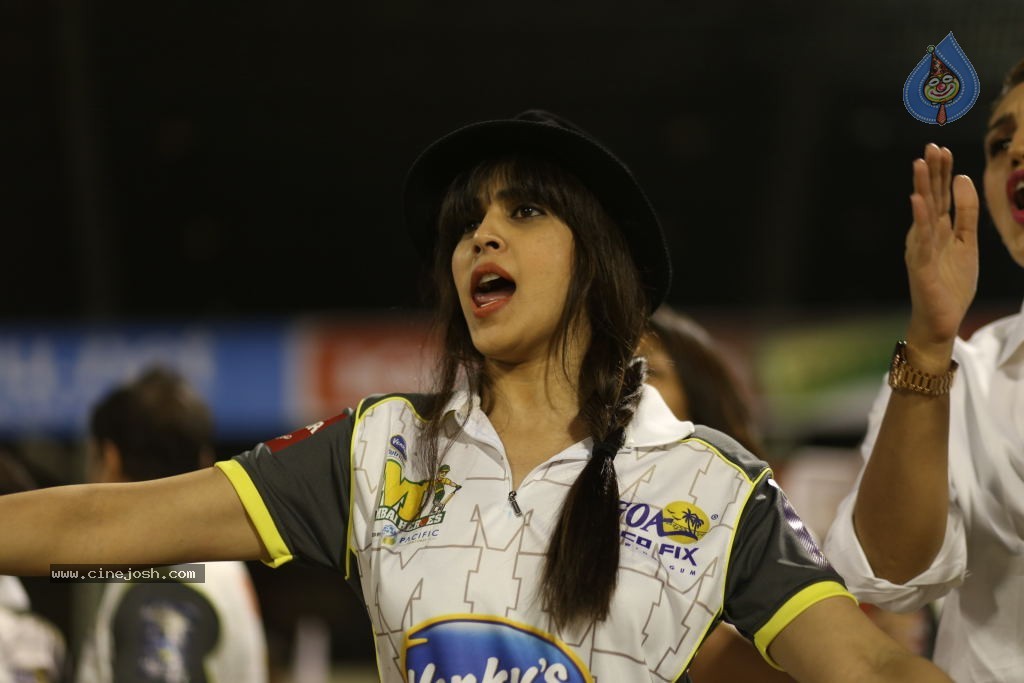 Karnataka Bulldozers Vs Mumbai Heroes Match - 143 / 202 photos