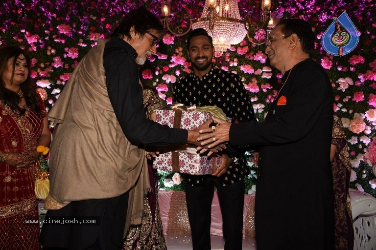 Hardik Pandya Brother Krunal Pandya Reception Cermony - 9 / 15 photos