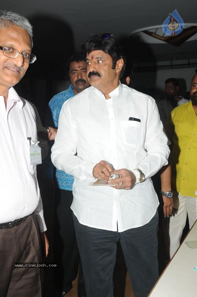 Maa Elections Polling 03 - 39 / 63 photos