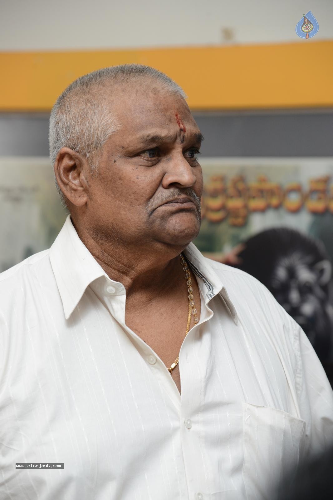 Maa Elections Polling 05 - 164 / 247 photos