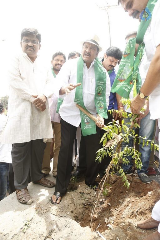 MAA Haritha Haram Event Photos - 12 / 21 photos