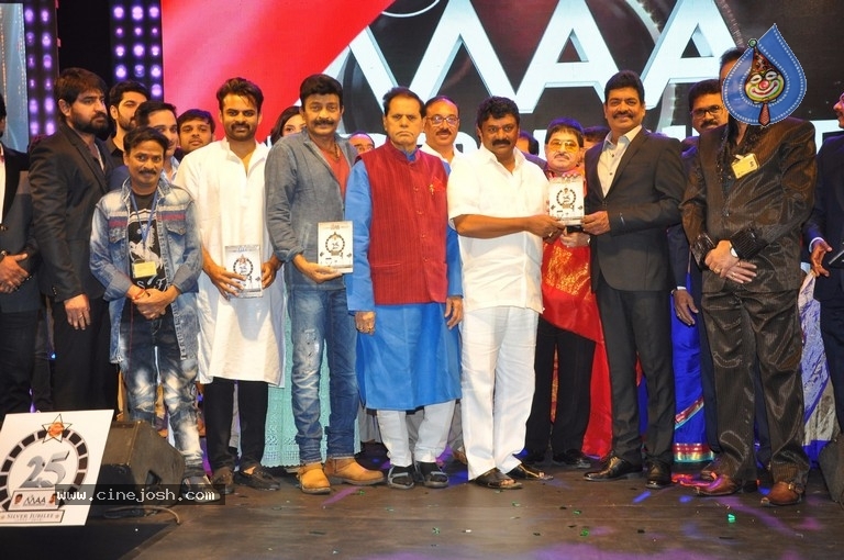 MAA Silver Jubilee Curtain Raiser - 23 / 63 photos