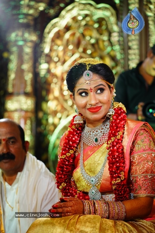 Manali Rathod Wedding Photos - 9 / 78 photos