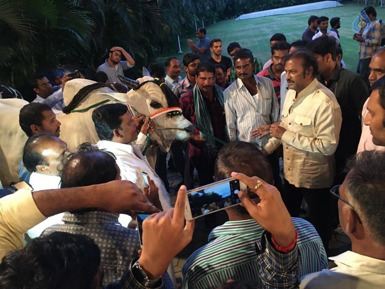 Mohan Babu visited Bull Show Event - 12 / 21 photos
