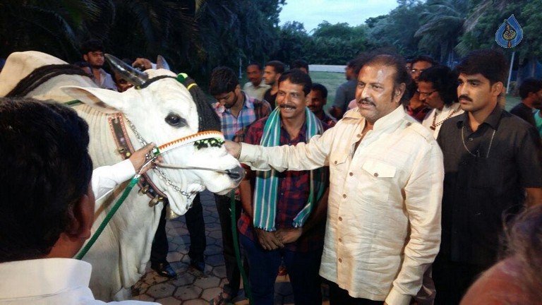 Mohan Babu visited Bull Show Event - 13 / 21 photos