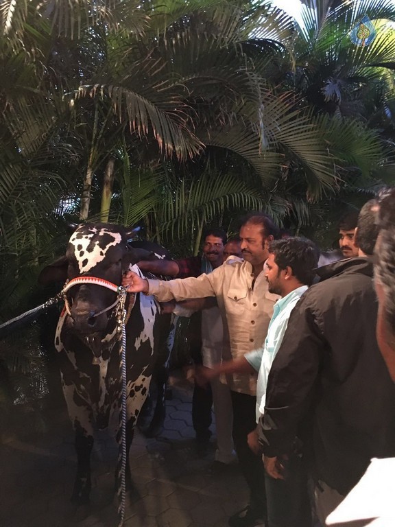 Mohan Babu visited Bull Show Event - 14 / 21 photos