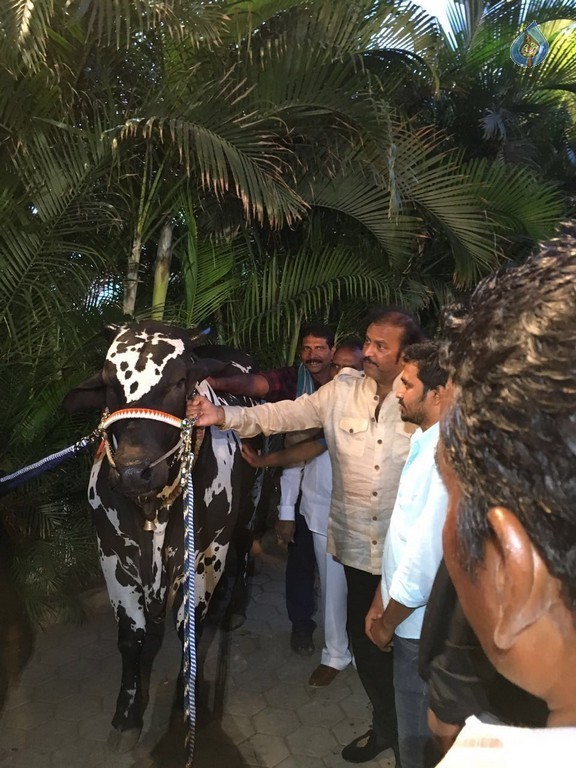 Mohan Babu visited Bull Show Event - 16 / 21 photos