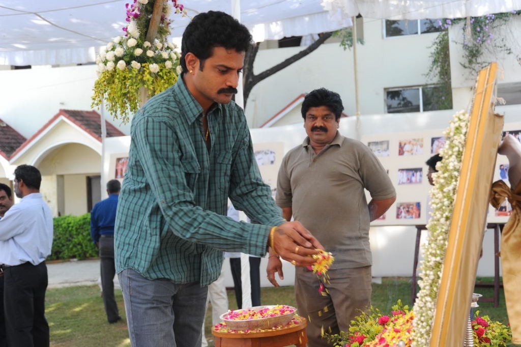 MS Reddy Pedda Karma Photos - 246 / 283 photos