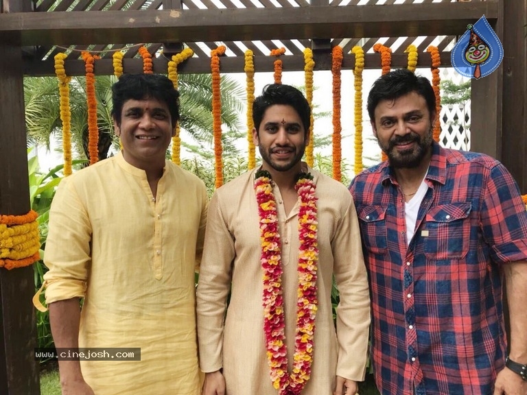 Naga Chaitanya Bridegroom Look - 3 / 3 photos