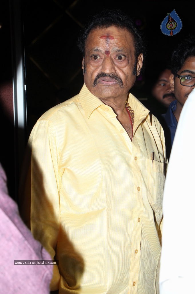 Nandamuri Mohana Krishna Daughter Marriage Photos - 167 / 249 photos