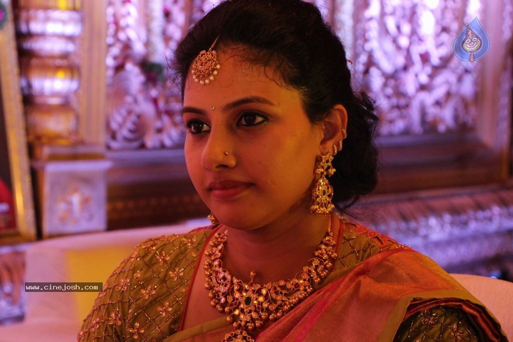 Nandamuri Mohana Krishna Daughter Marriage Photos - 220 / 249 photos