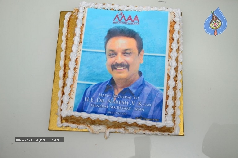 Naresh Vijaya krishna Birthday Celebrations 2019 - 12 / 56 photos