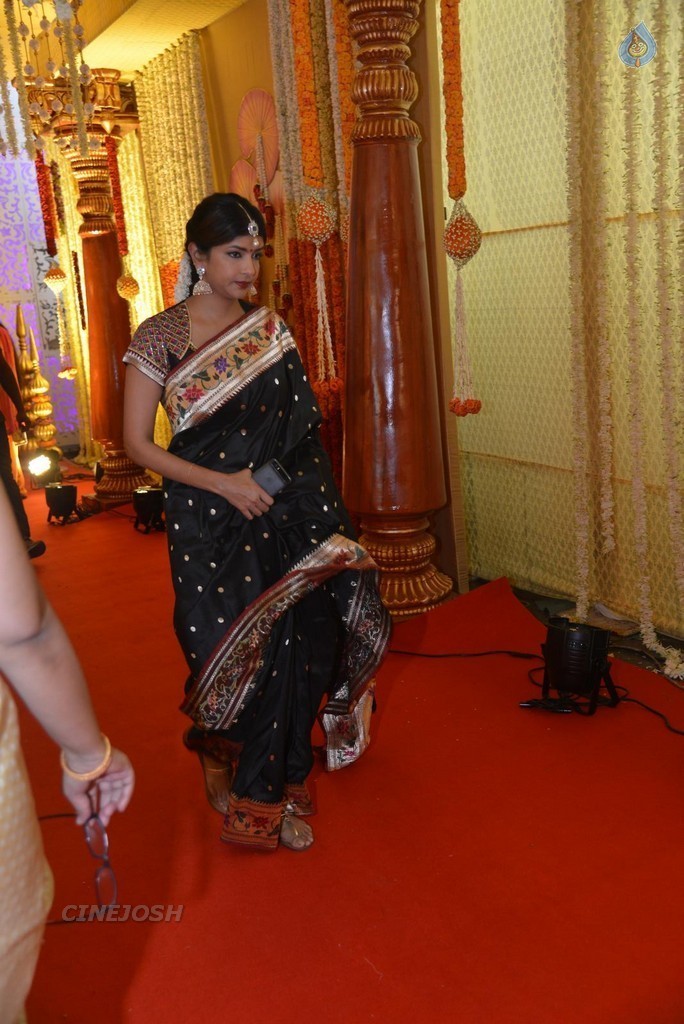 Nimmagadda Prasad Daughter Wedding 1 - 12 / 83 photos