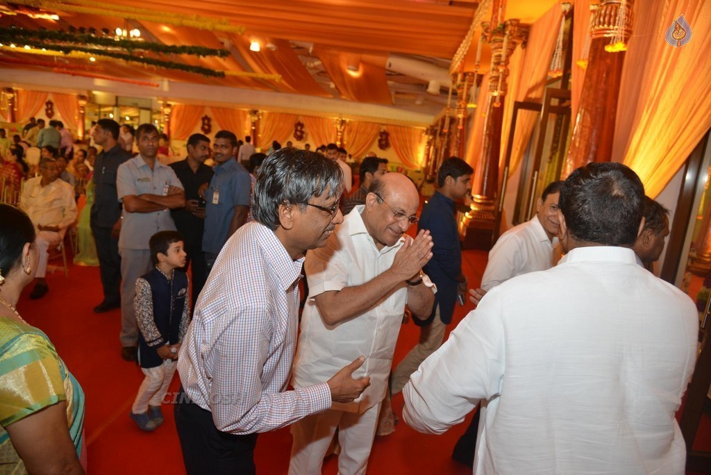 Nimmagadda Prasad Daughter Wedding 1 - 18 / 83 photos