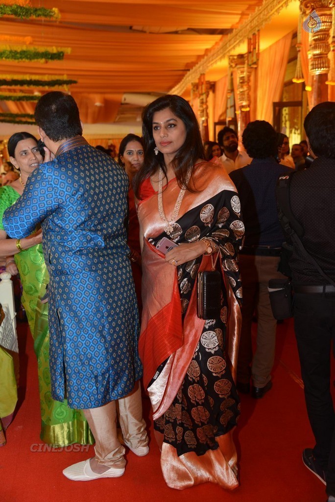 Nimmagadda Prasad Daughter Wedding 1 - 34 / 83 photos