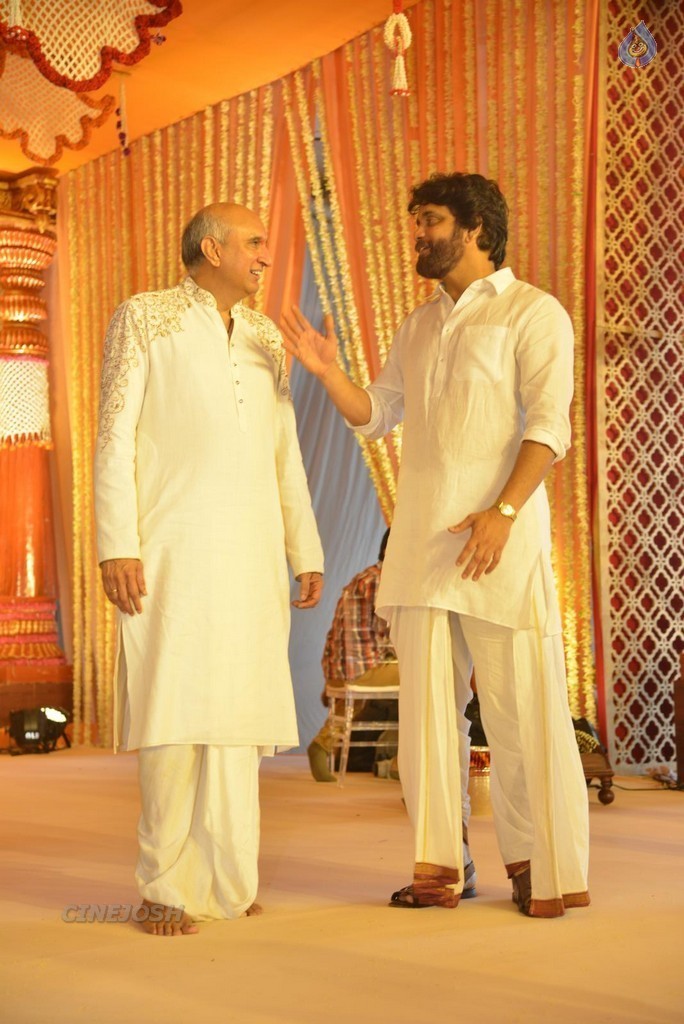 Nimmagadda Prasad Daughter Wedding 1 - 39 / 83 photos