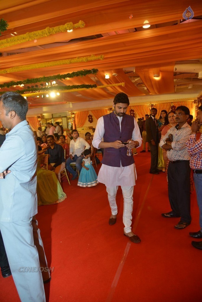 Nimmagadda Prasad Daughter Wedding 1 - 65 / 83 photos