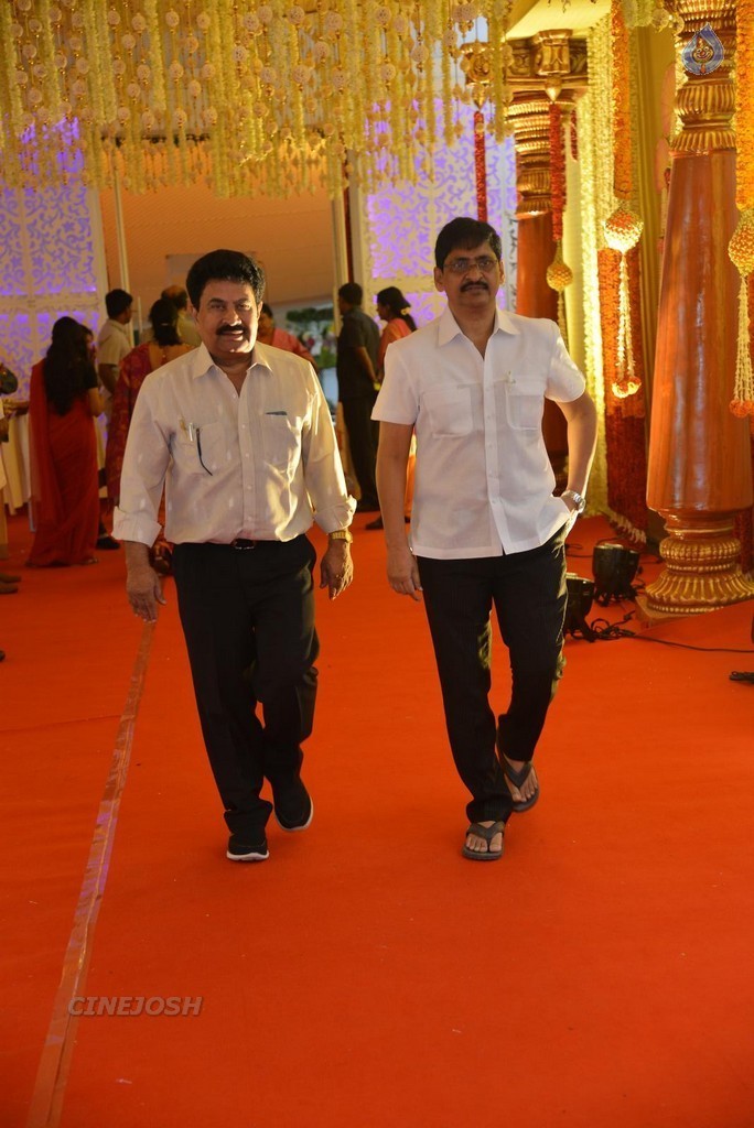 Nimmagadda Prasad Daughter Wedding 1 - 76 / 83 photos