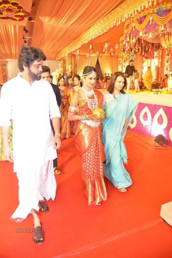 Nimmagadda Prasad Daughter Wedding 1 - 80 / 83 photos