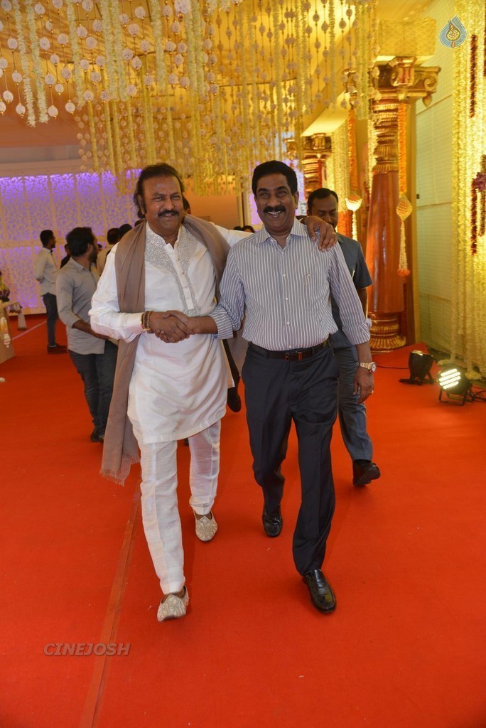 Nimmagadda Prasad Daughter Wedding 1 - 81 / 83 photos
