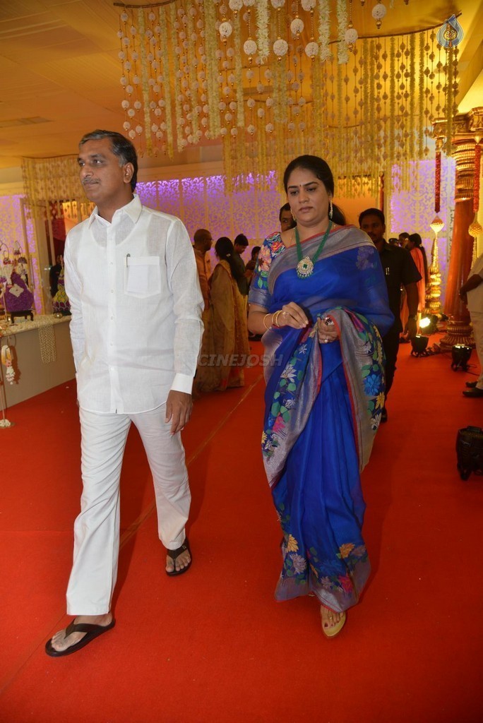 Nimmagadda Prasad Daughter Wedding Photos 2 - 9 / 78 photos