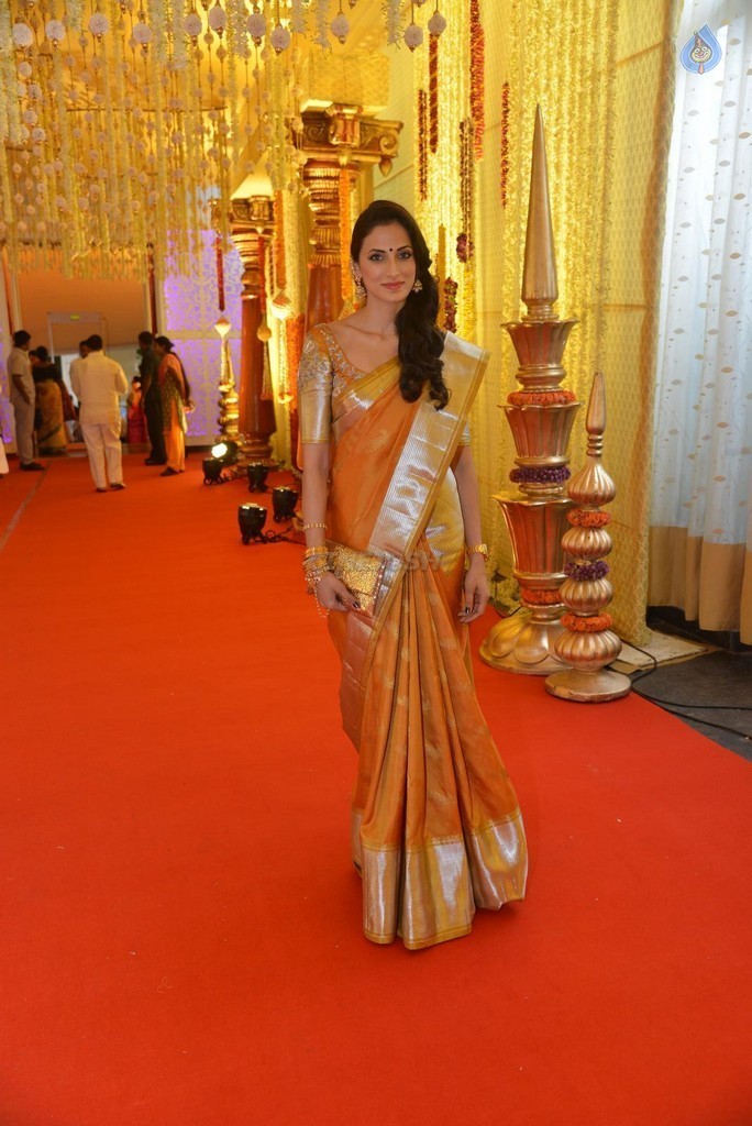 Nimmagadda Prasad Daughter Wedding Photos 2 - 44 / 78 photos