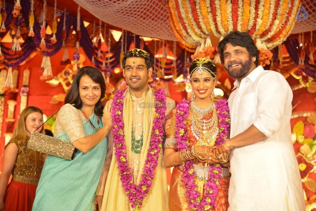 Nimmagadda Prasad Daughter Wedding Photos 2 - 69 / 78 photos