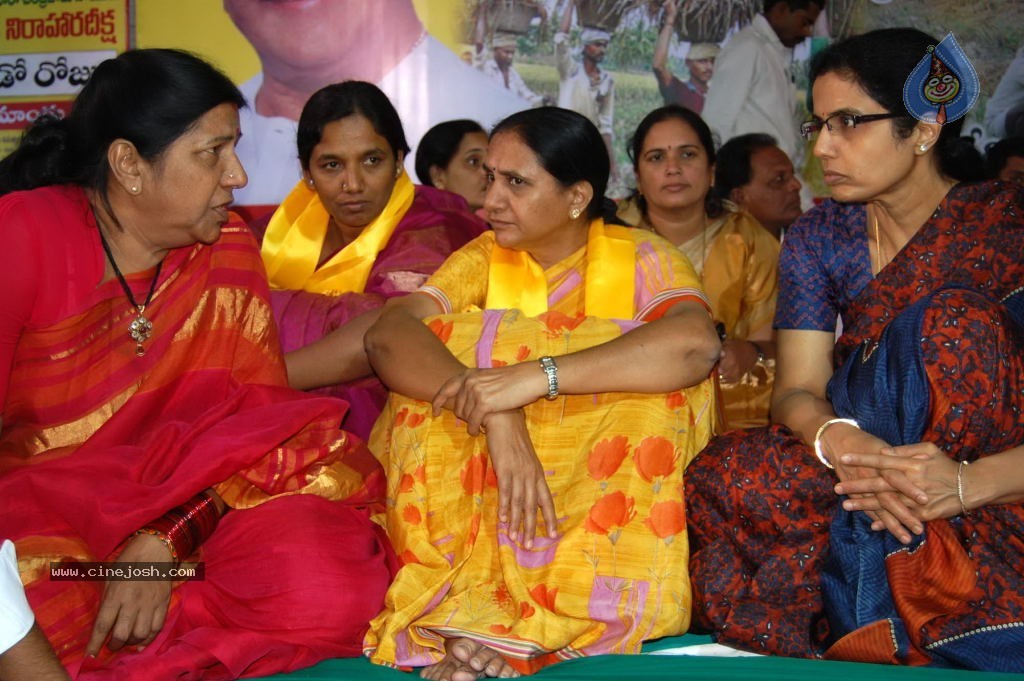 NTR and Political Leaders at Chandrababu Indefinite Fast - 2 / 74 photos