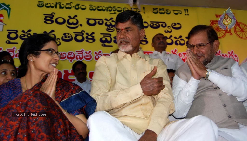 NTR and Political Leaders at Chandrababu Indefinite Fast - 4 / 74 photos