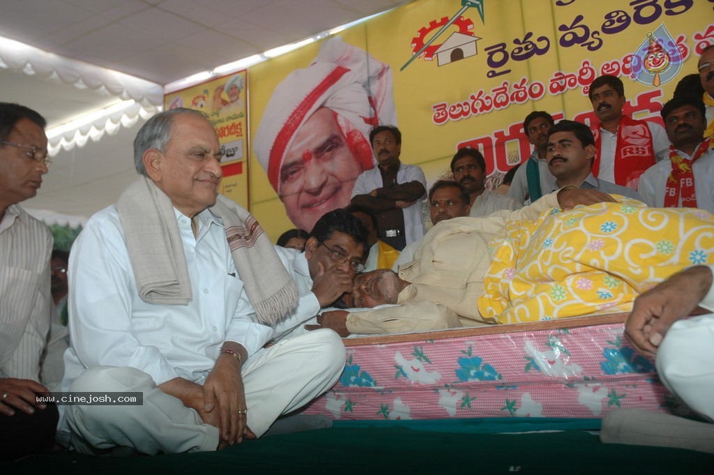 NTR and Political Leaders at Chandrababu Indefinite Fast - 13 / 74 photos