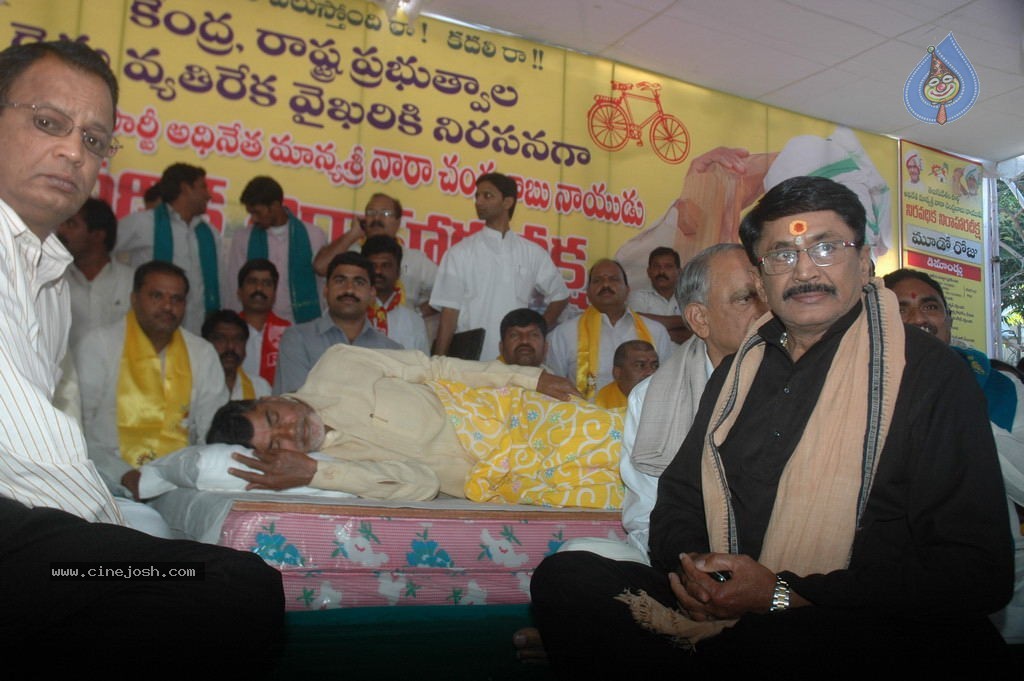 NTR and Political Leaders at Chandrababu Indefinite Fast - 21 / 74 photos