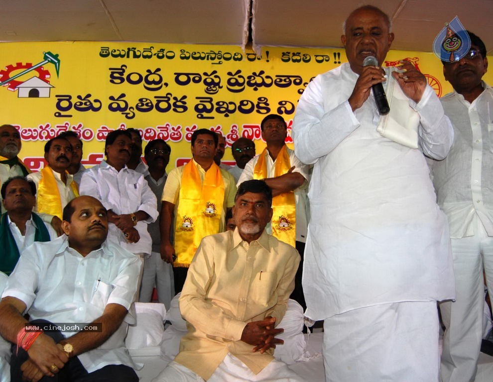 NTR and Political Leaders at Chandrababu Indefinite Fast - 24 / 74 photos