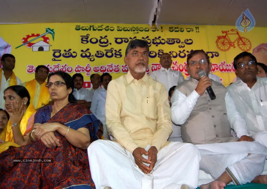 NTR and Political Leaders at Chandrababu Indefinite Fast - 26 / 74 photos