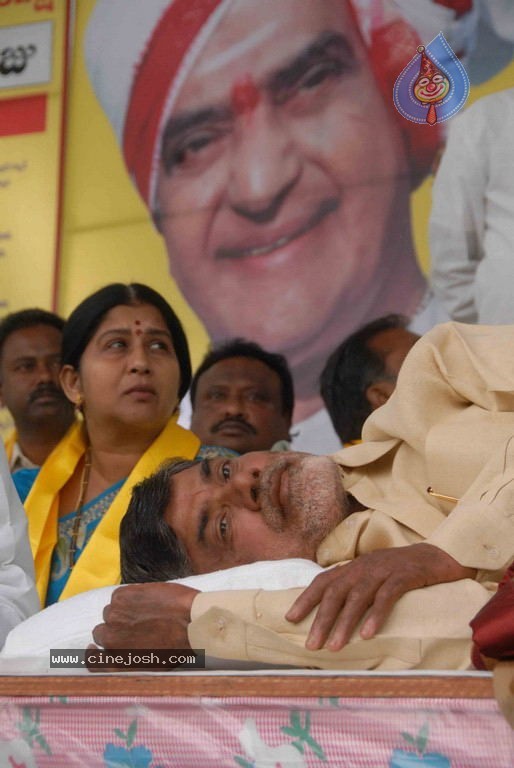 NTR and Political Leaders at Chandrababu Indefinite Fast - 28 / 74 photos