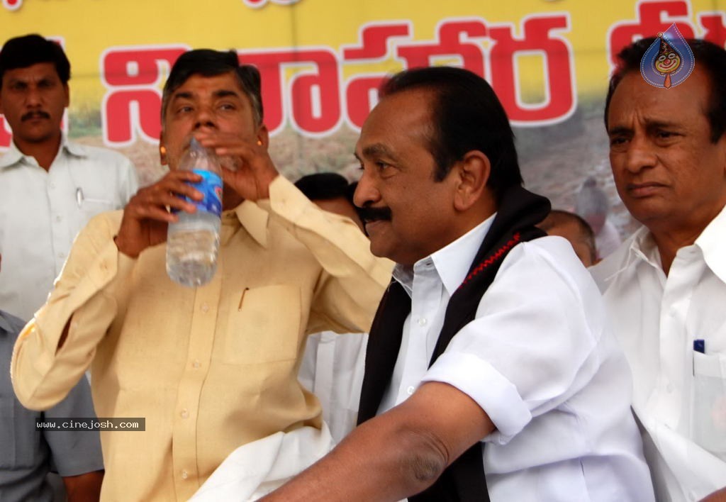 NTR and Political Leaders at Chandrababu Indefinite Fast - 31 / 74 photos