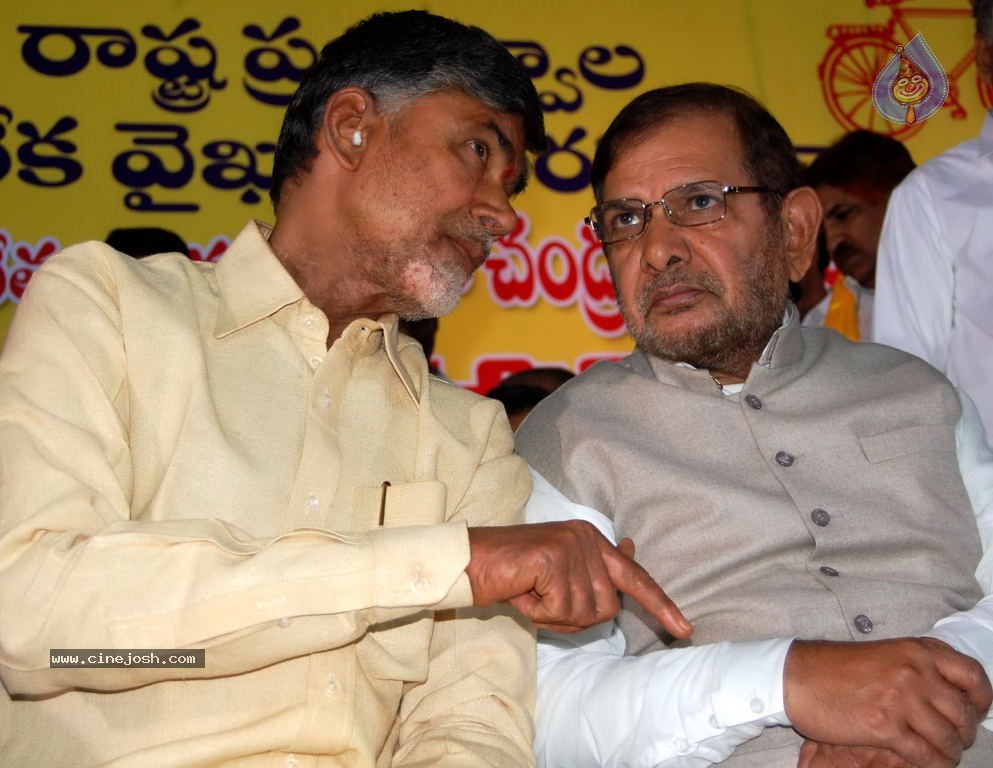 NTR and Political Leaders at Chandrababu Indefinite Fast - 35 / 74 photos