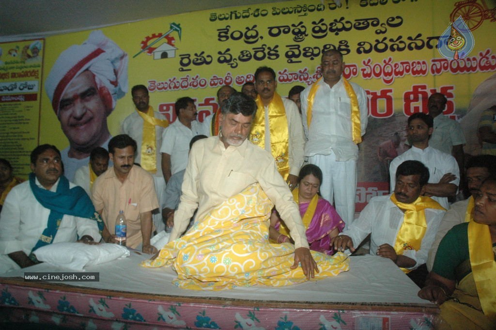 NTR and Political Leaders at Chandrababu Indefinite Fast - 44 / 74 photos