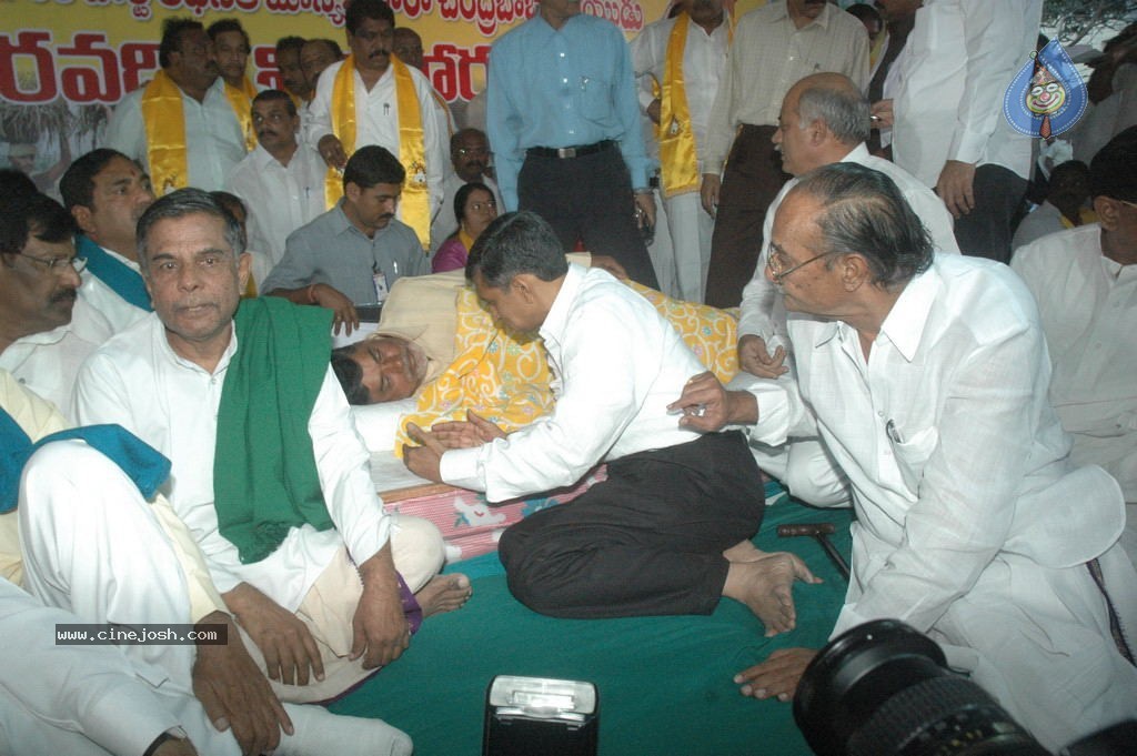 NTR and Political Leaders at Chandrababu Indefinite Fast - 49 / 74 photos