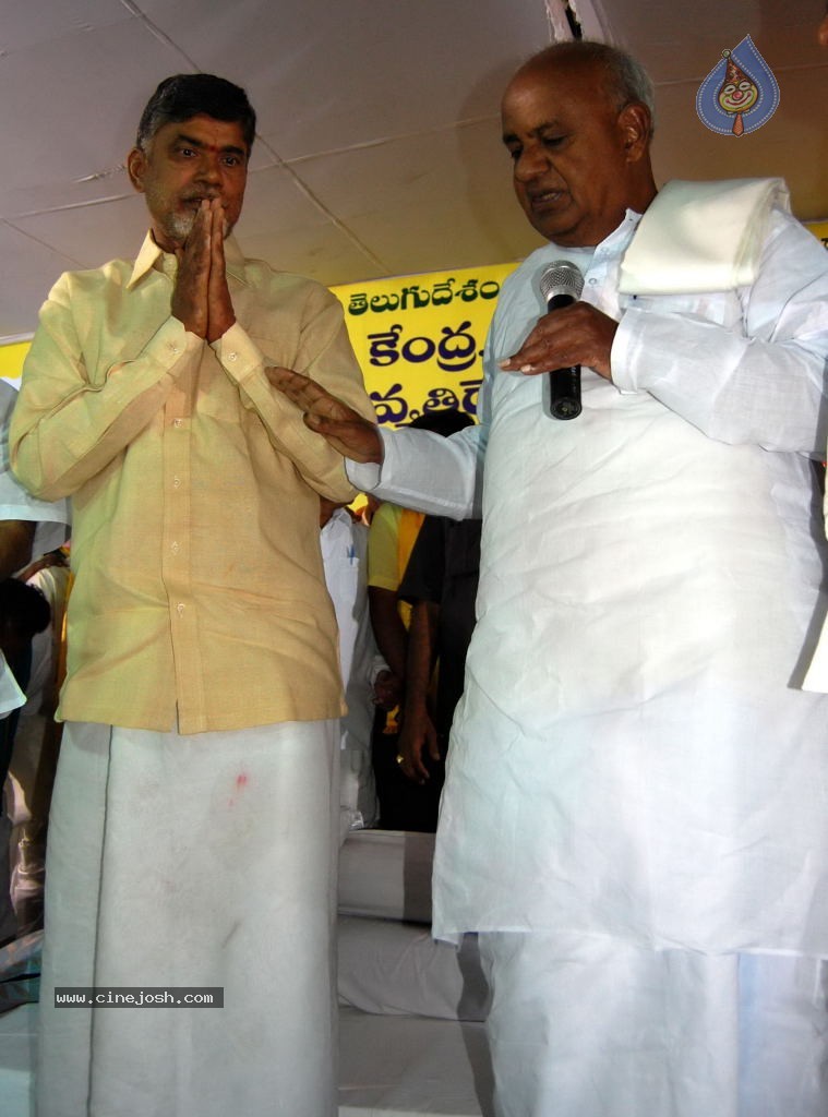 NTR and Political Leaders at Chandrababu Indefinite Fast - 58 / 74 photos