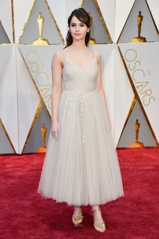 Oscar Awards 2017 Photos - 37 / 41 photos