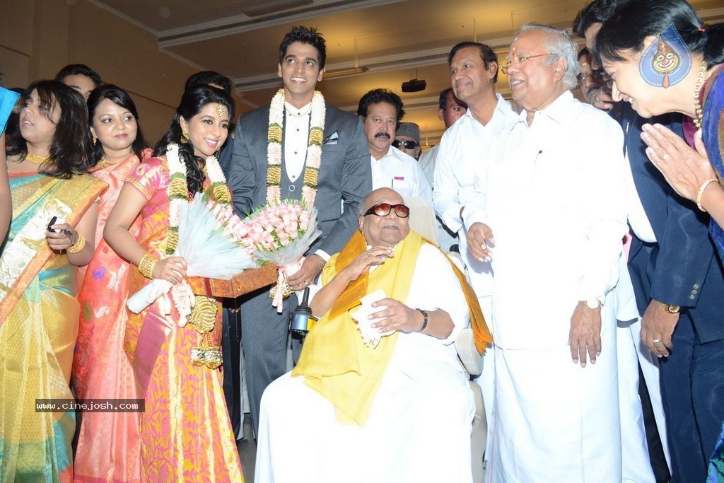 Palam Silks Daughter Reception Photos - 3 / 42 photos