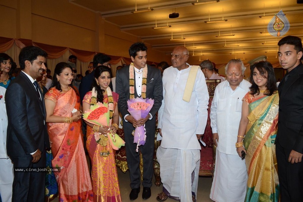 Palam Silks Daughter Reception Photos - 16 / 42 photos