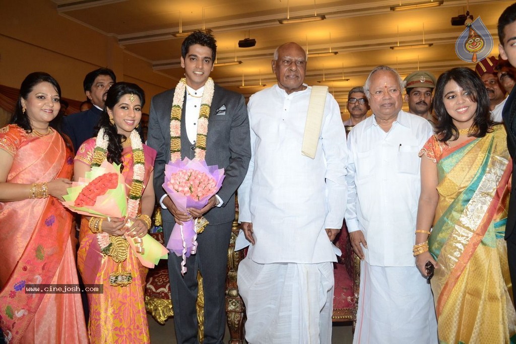 Palam Silks Daughter Reception Photos - 24 / 42 photos