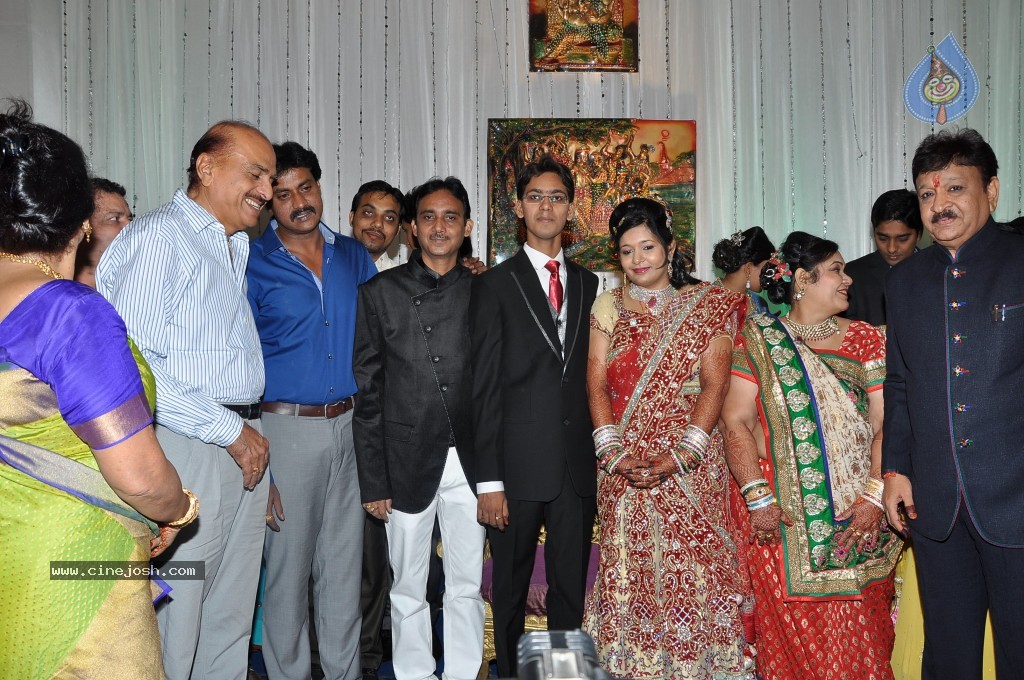 Producer Paras Jain Daughter Wedding Photos - 9 / 27 photos