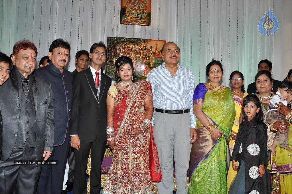 Producer Paras Jain Daughter Wedding Photos - 12 / 27 photos