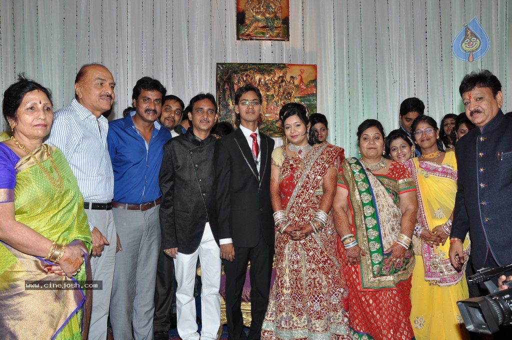 Producer Paras Jain Daughter Wedding Photos - 19 / 27 photos
